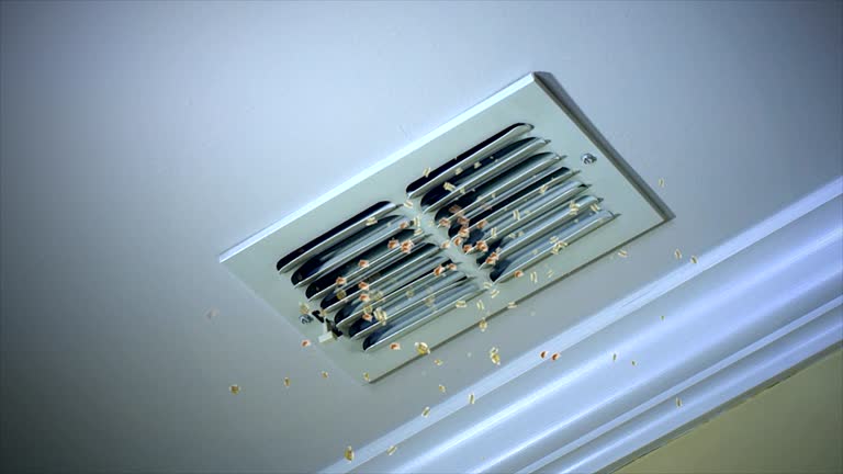 Best Air Duct Cleaning Near Me  in Rutherford College, NC