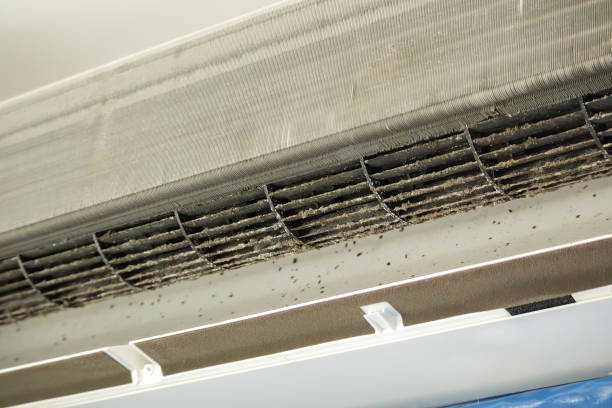 Best Affordable Duct Cleaning Services  in Rutherford College, NC